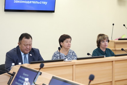 К принятию в первом чтении рекомендованы законы о бесплатном питании в школах для детей-инвалидов 